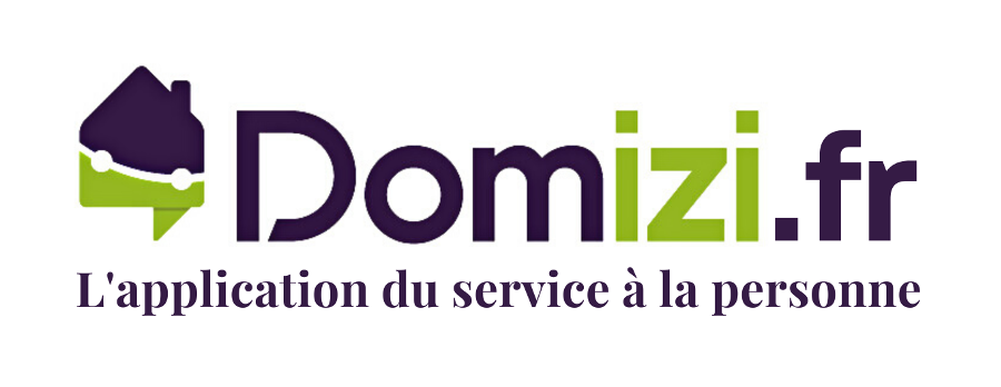 logo Domizi